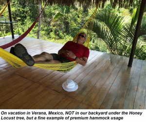 Hammock 2