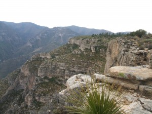 Wilderness Ridge 2008 (4)