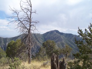 Guadalupe Peak from the Bowl