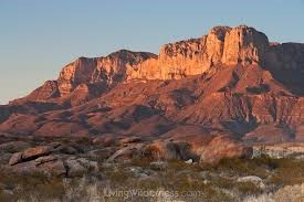 Guadalupe Peak
